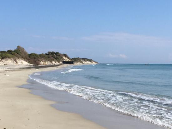 Zona dei Laghi Alimini